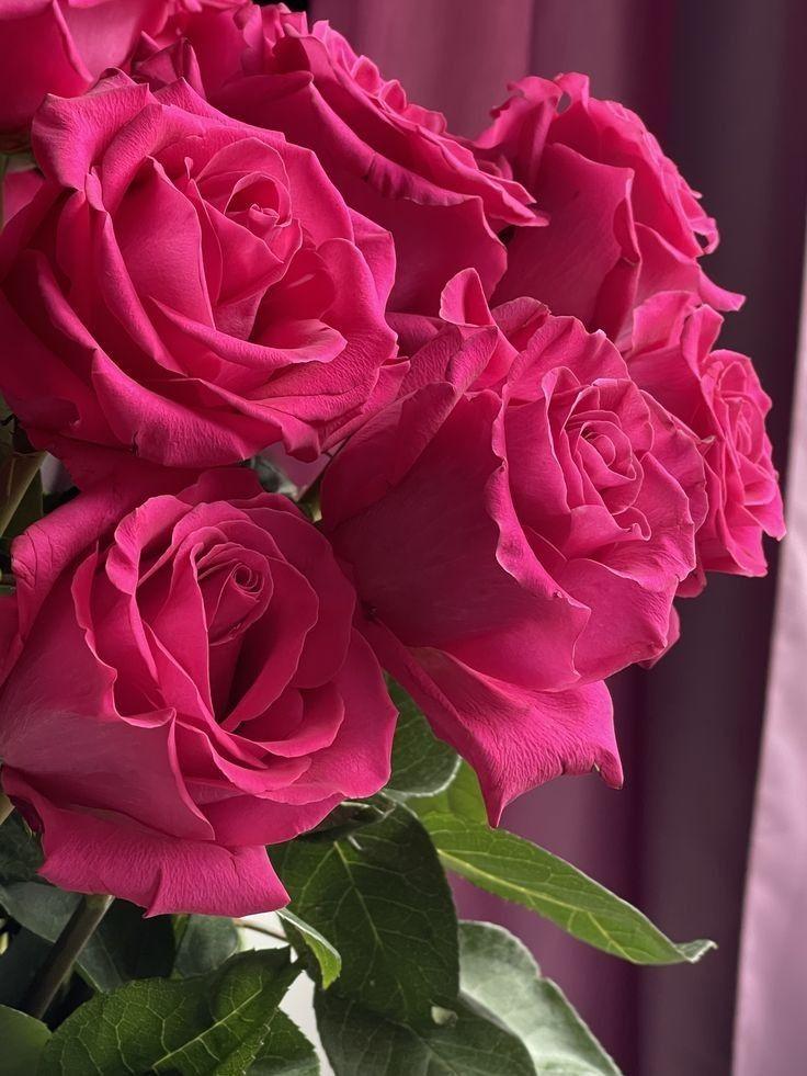 Enchanted Garden Whispers: Floral Fantasy